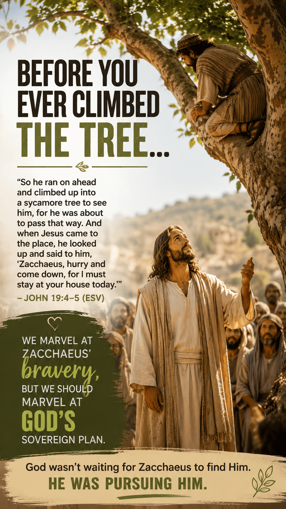 Before You Ever Climbed the&nbsp;Tree